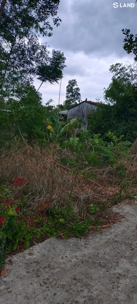 Thôn Trung Kiều, Quảng Thái, Quảng Điền