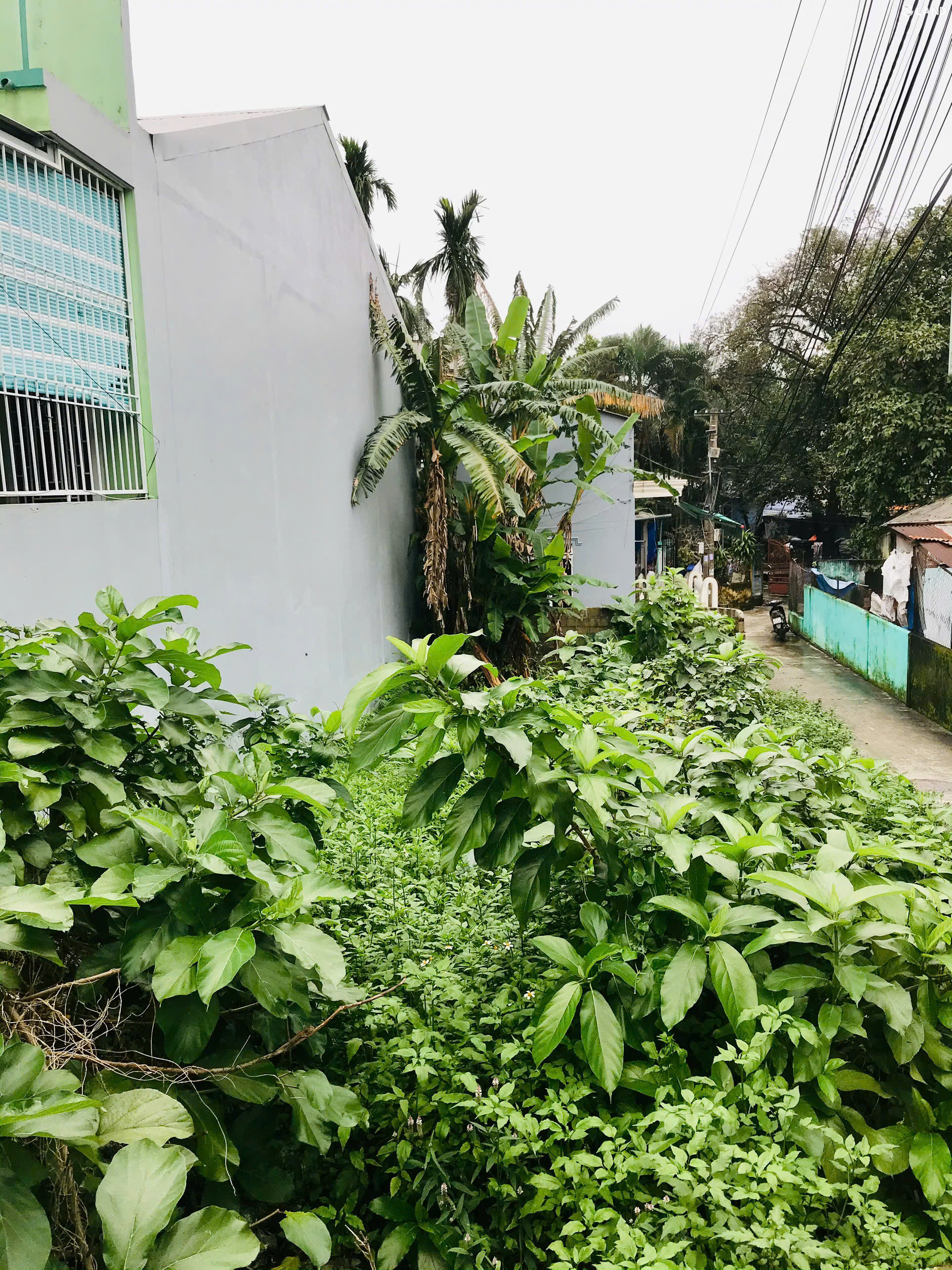 🕋🕋 Đất 126,6m2 mặt tiền Trần Phú, Huế giá rẻ