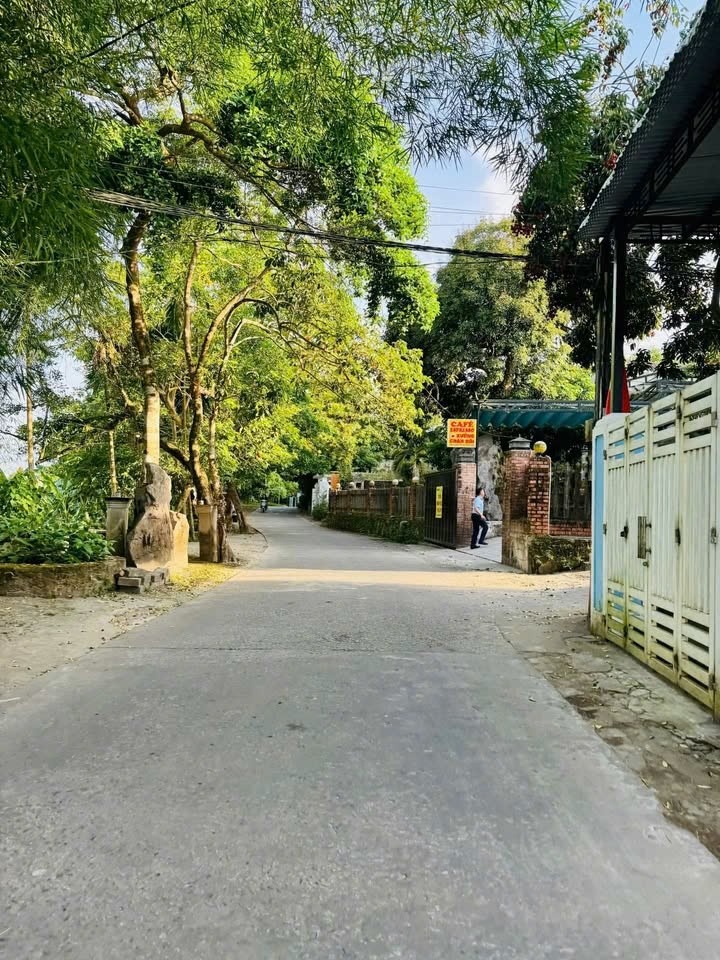 📌 Đất kiệt 65 Lê Ngô Cát - Đất Kiệt Chân Đồi - P. Thủy xuân, Tp. Huế