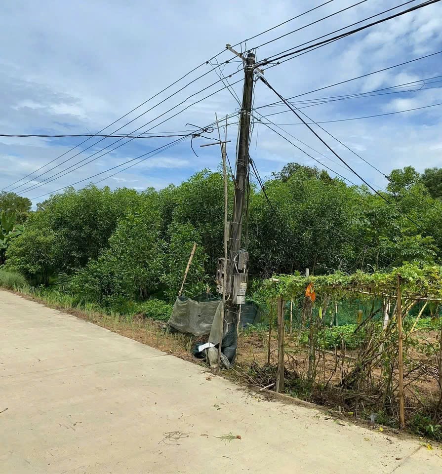 BÁN ĐẤT THỔ CƯ HOÀ AN – GẦN 400m², GIÁ CHỈ 5,x TRIỆU/m²
