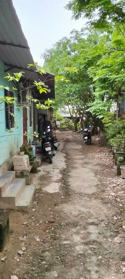 BÁN ĐẤT TẶNG NHÀ SIÊU TO KHỔNG LỒ RẺ NHẤT THỊ TRƯỜNG, MẶT TIỀN NGUYỄN CHÍ THANH, P. GIA HỘI, TP - HUẾ.