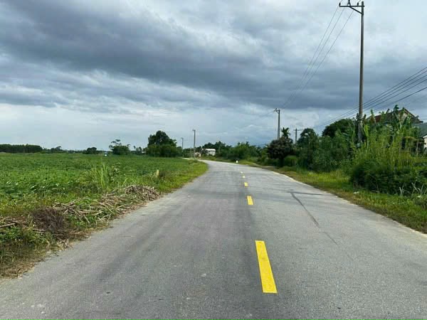 Đất trồng cây, thuộc Phường Phong Hoà, Thành phố Huế.